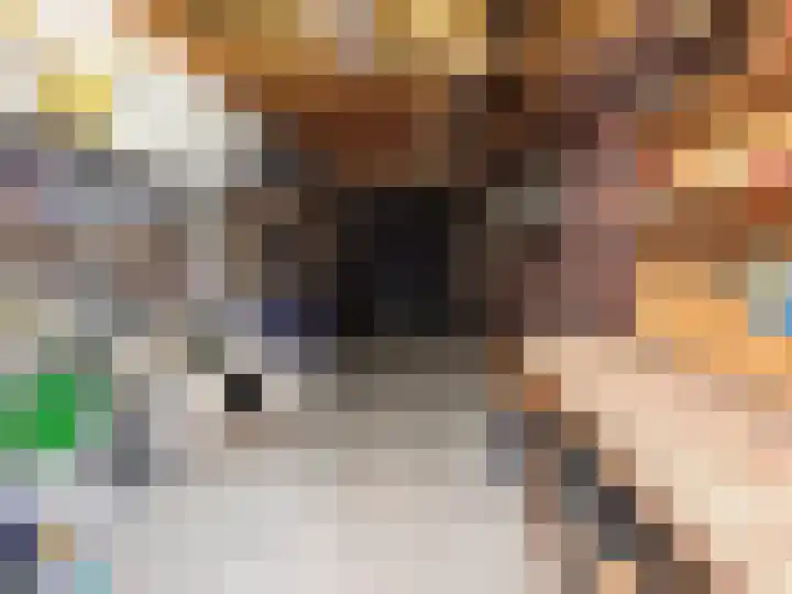 De Klamp 28 Elst Ut thumbnail 21