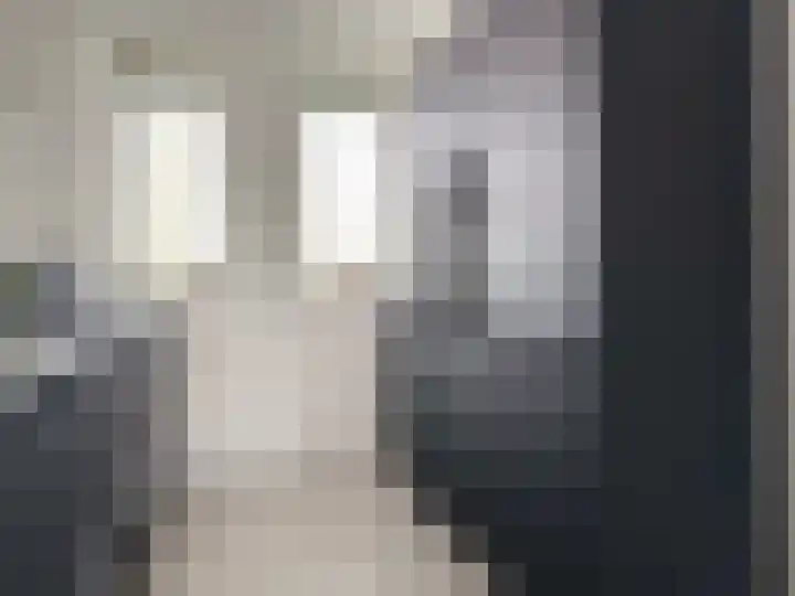 De Klamp 28 Elst Ut thumbnail 8