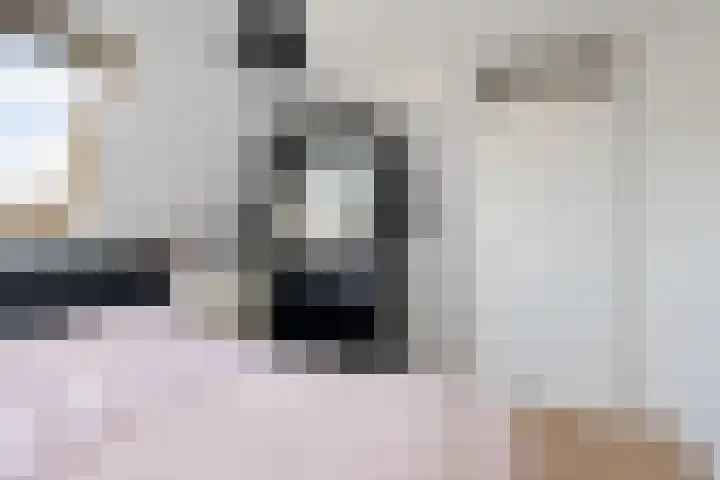 De Klamp 8 Erica thumbnail 27