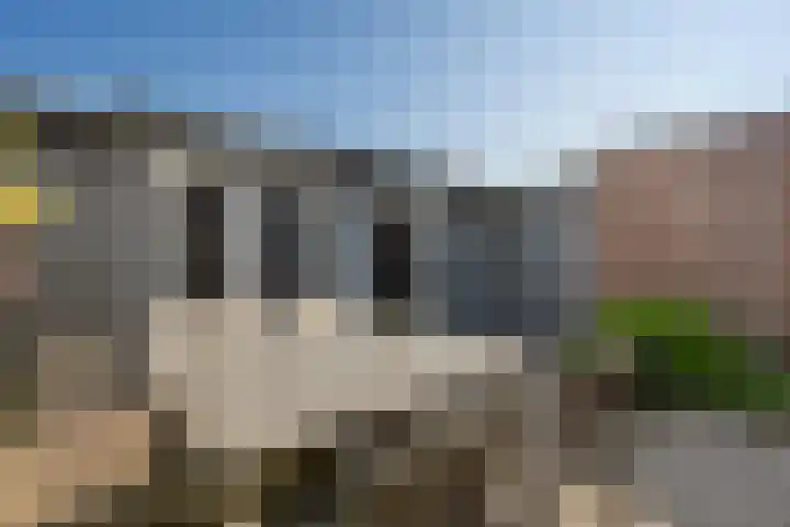 De Klamp 8 Erica thumbnail 38