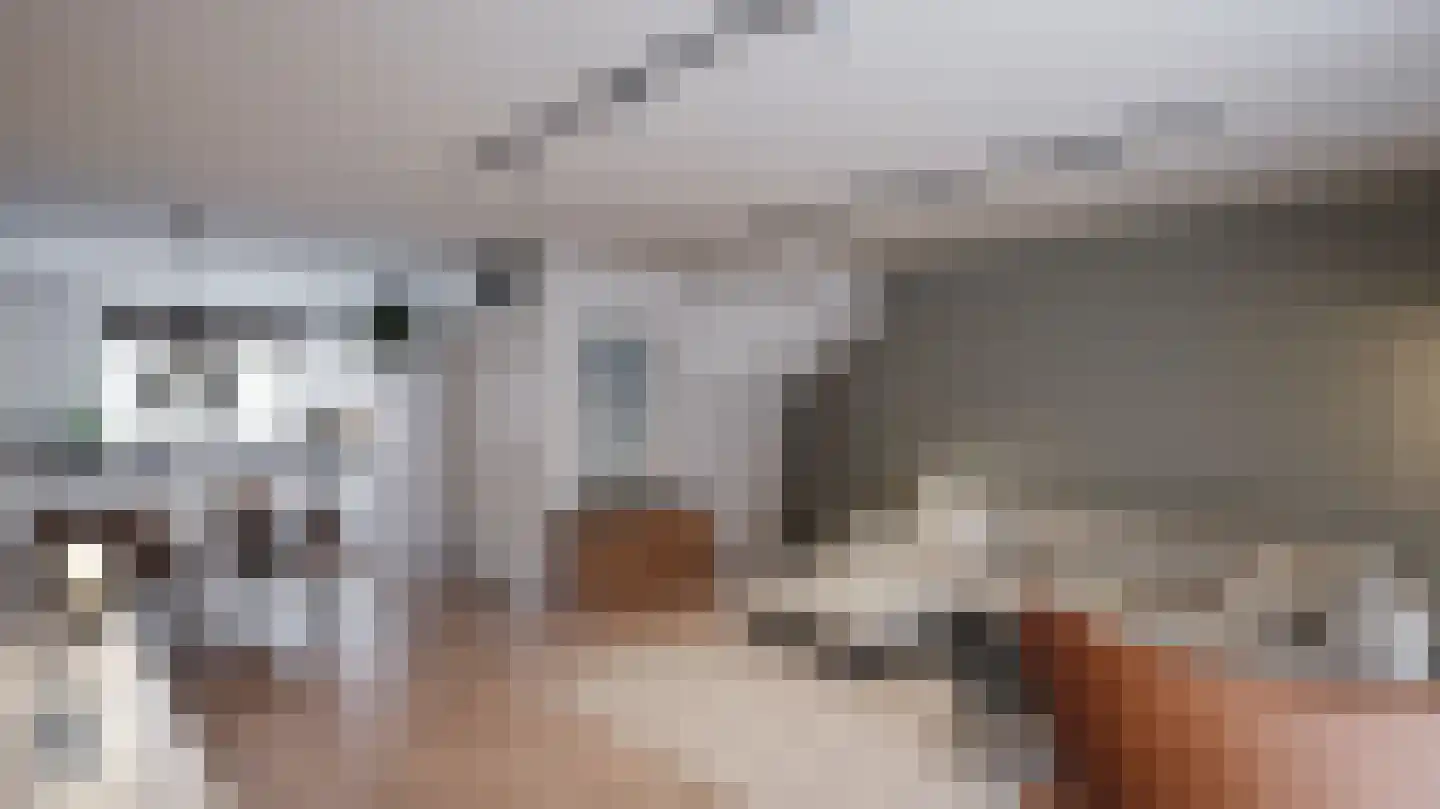 De Klamp Heerhugowaard thumbnail 4