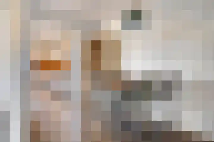De Klap 14 Leek thumbnail 11