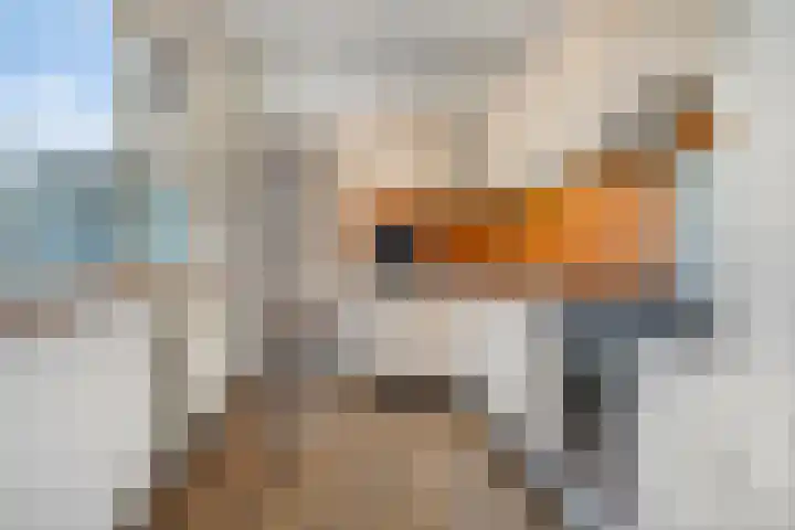 De Klap 14 Leek thumbnail 13