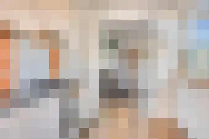 De Klap 14 Leek thumbnail 14