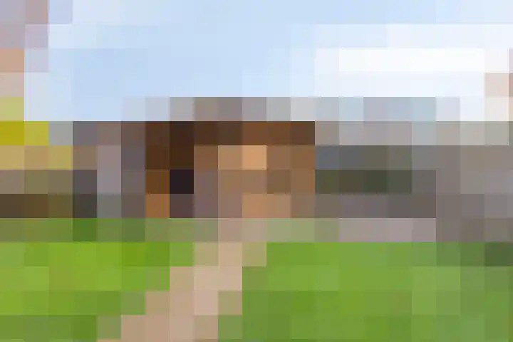 De Klap 14 Leek thumbnail 28