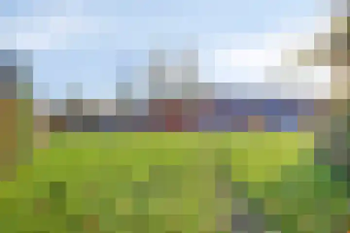De Klap 14 Leek thumbnail 32