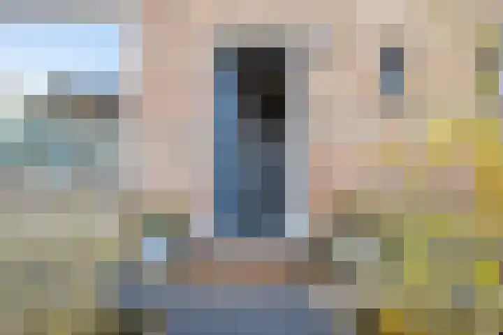 De Klap 14 Leek thumbnail 6
