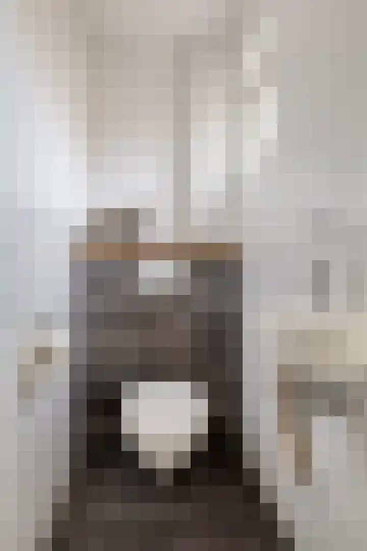 De Klap 2 Leek thumbnail 10