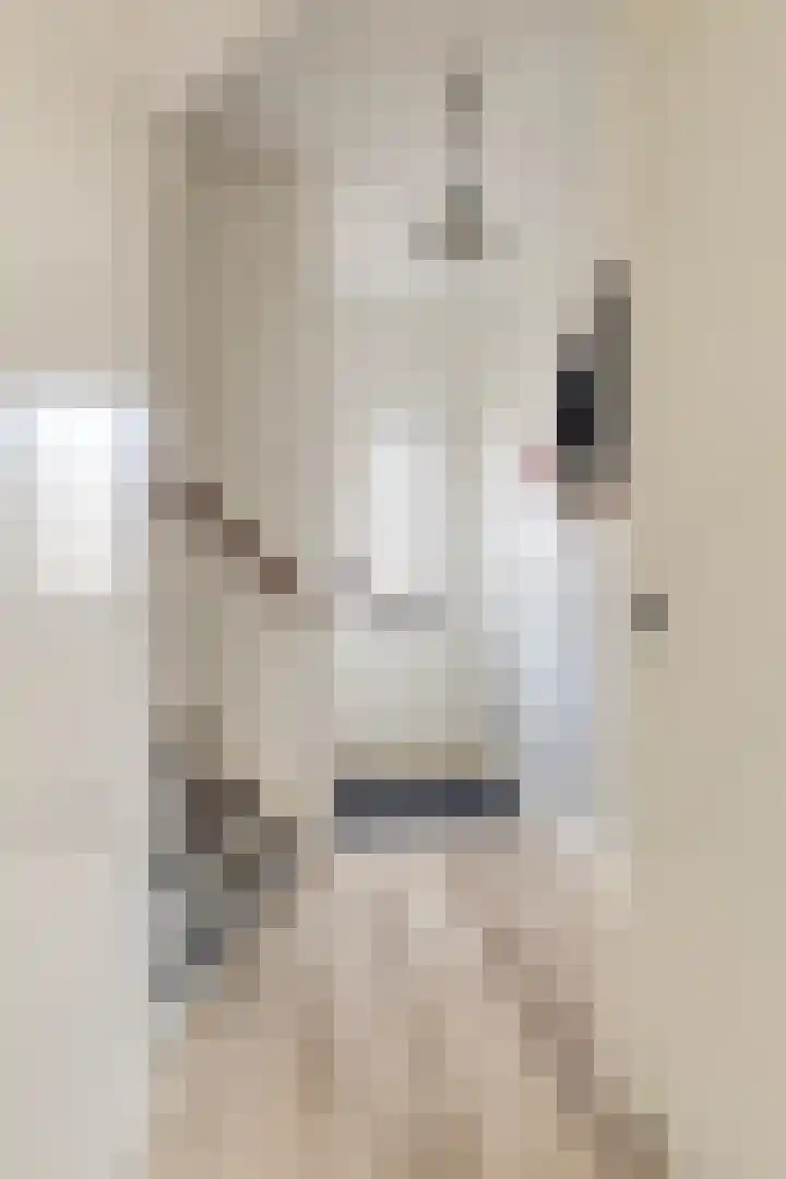 De Klap 2 Leek thumbnail 11