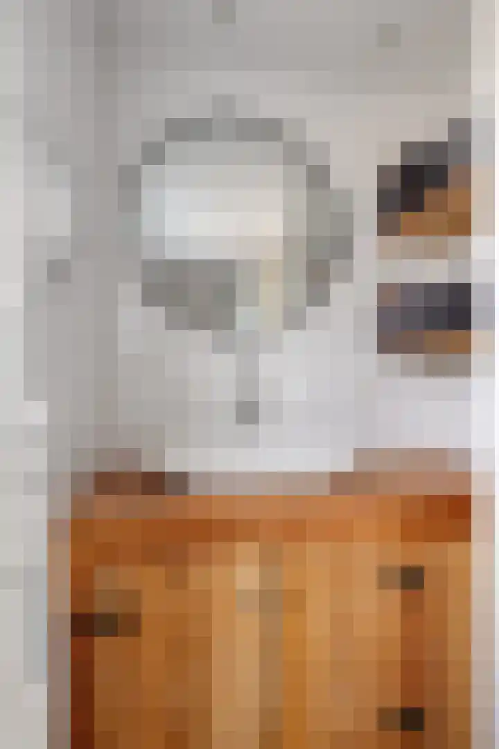 De Klap 2 Leek thumbnail 19