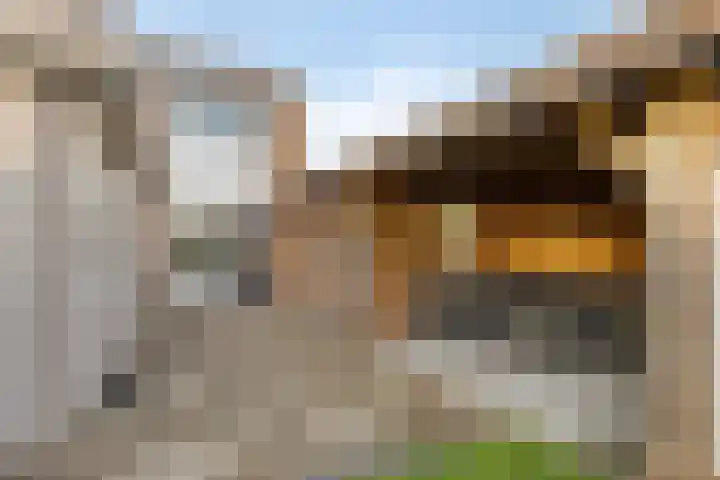 De Klap 2 Leek thumbnail 24