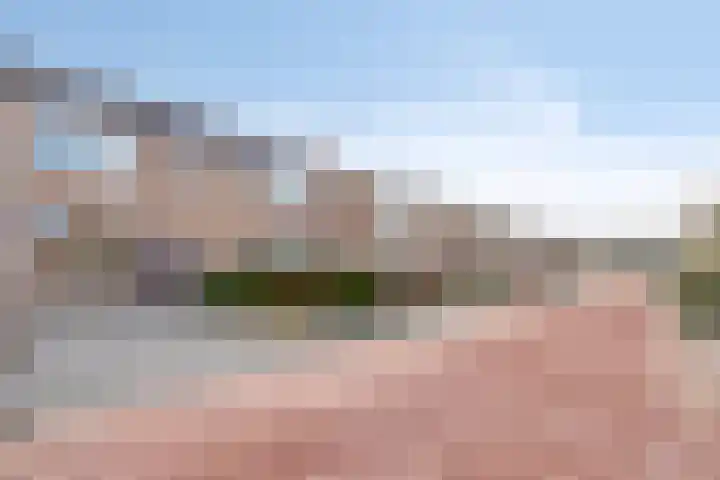 De Klap 2 Leek thumbnail 28