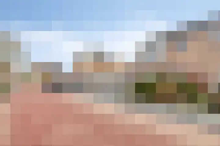 De Klap 2 Leek thumbnail 29