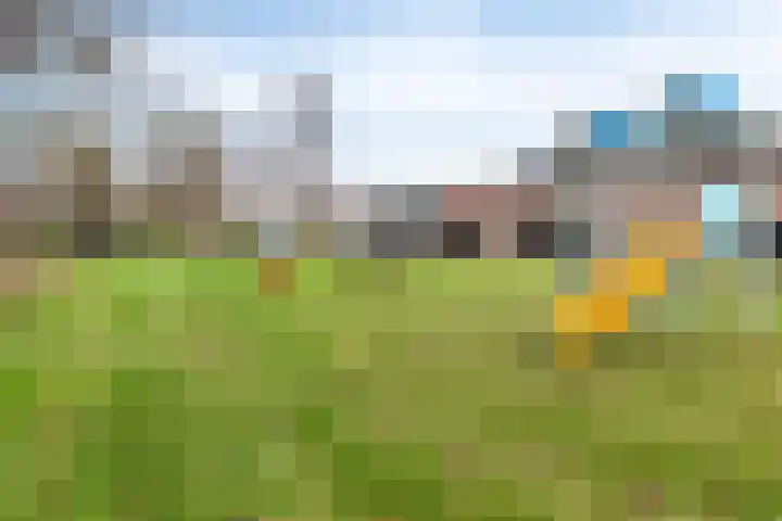 De Klap 2 Leek thumbnail 30