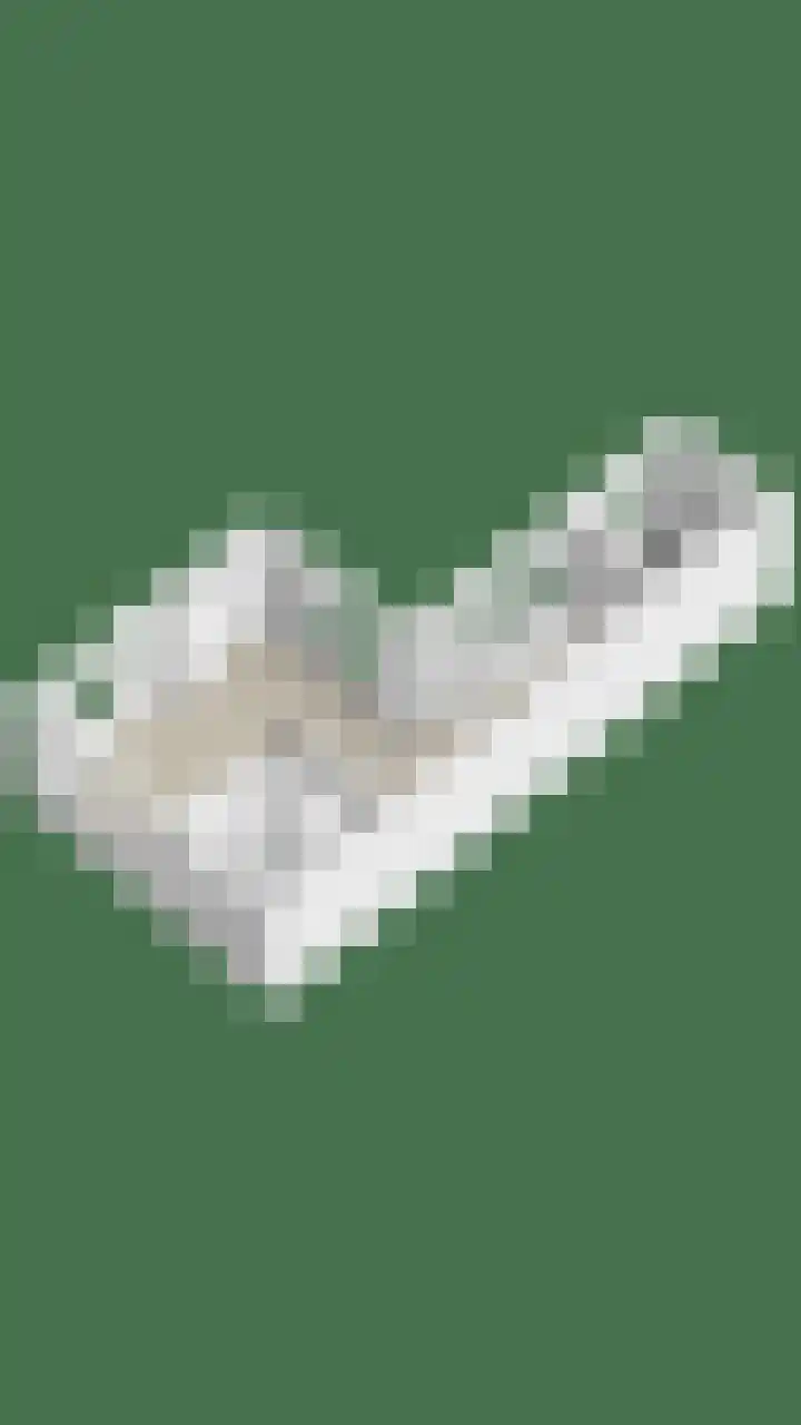 De Klap 2 Leek thumbnail 37