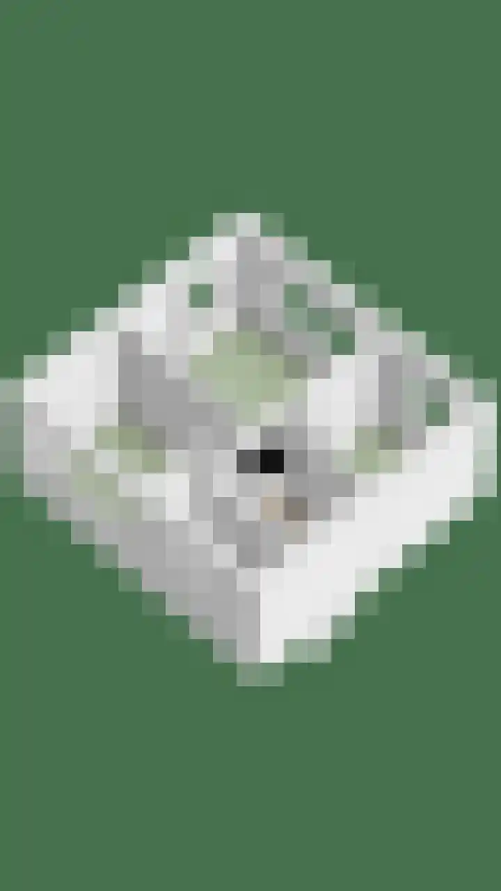 De Klap 2 Leek thumbnail 38