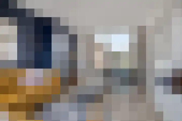 De Klap 2 Leek thumbnail 4