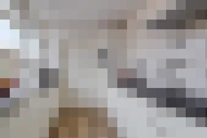 De Klap 2 Leek thumbnail 8