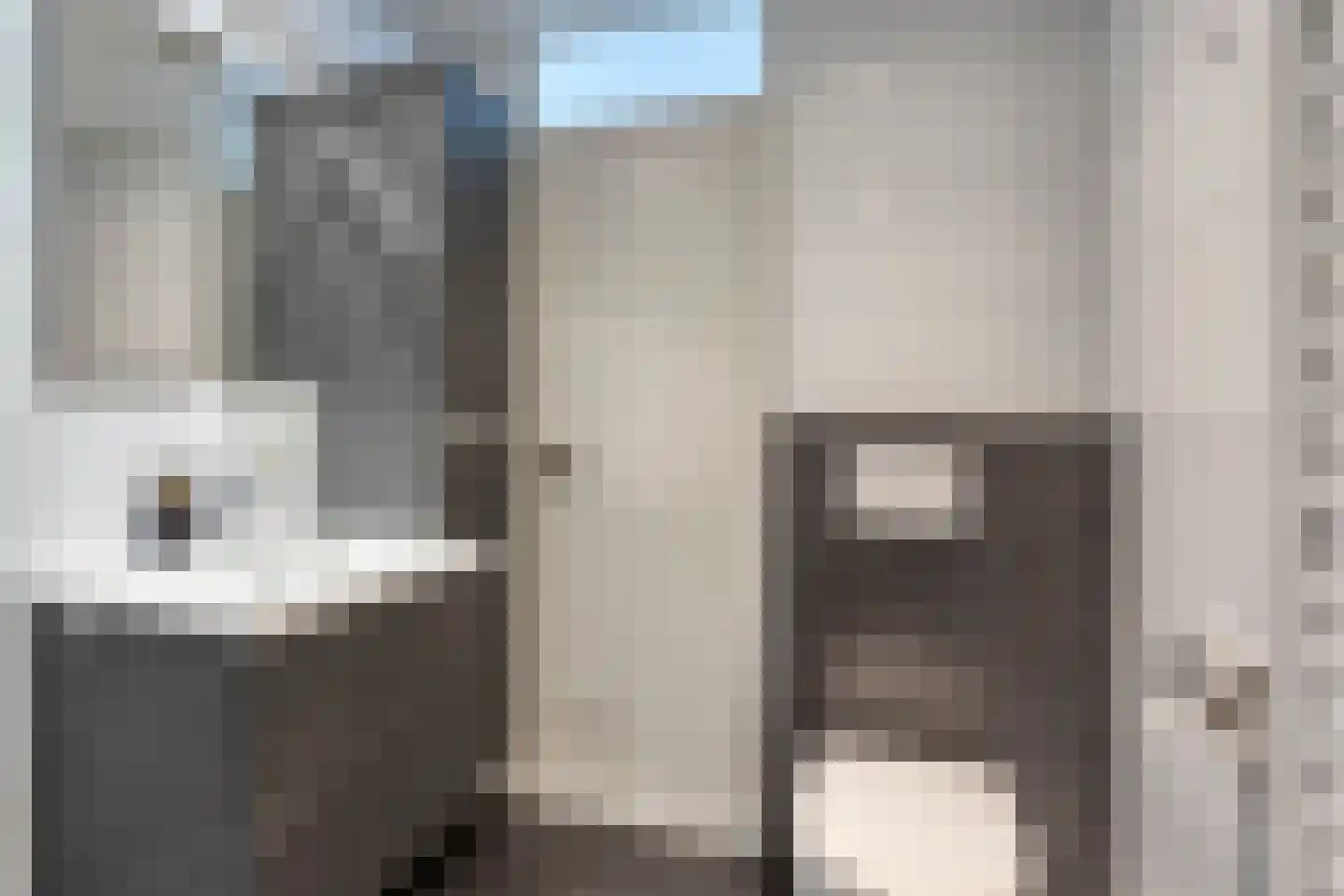 De Klaver 11 Heesch thumbnail 22