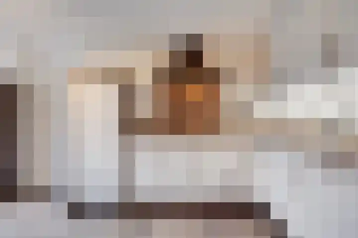 De Klaver 19 Heesch thumbnail 15