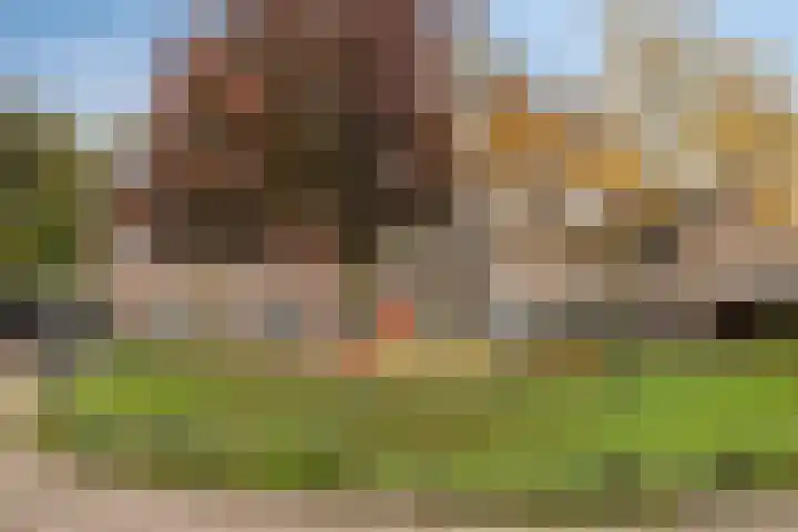 De Klaver 19 Heesch thumbnail 39
