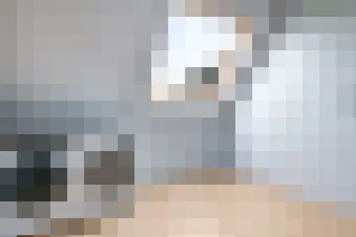 De Kleefse Kamp 62 Herveld thumbnail 47