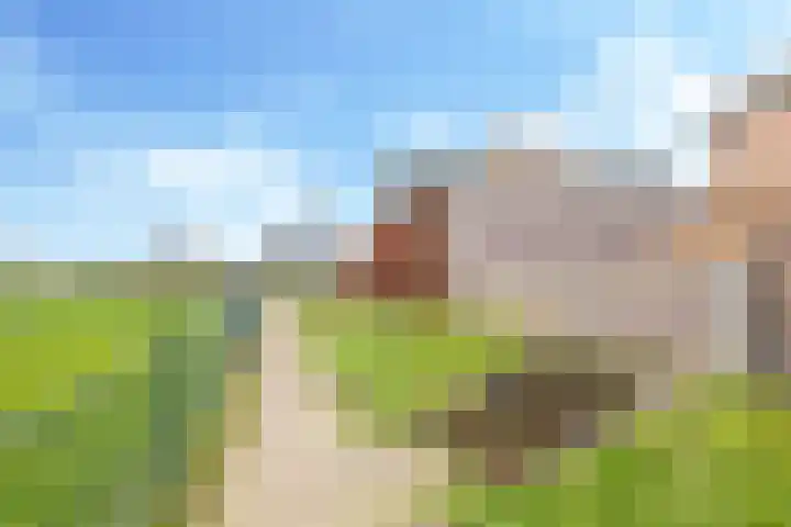 De Kleefse Kamp 62 Herveld thumbnail 63