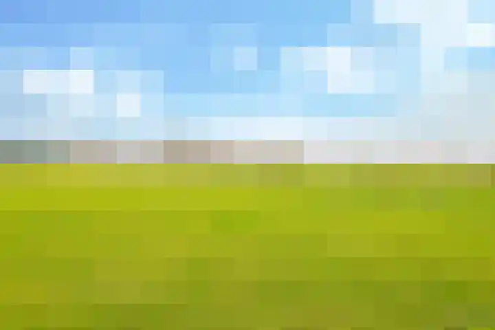 De Kleefse Kamp 62 Herveld thumbnail 64