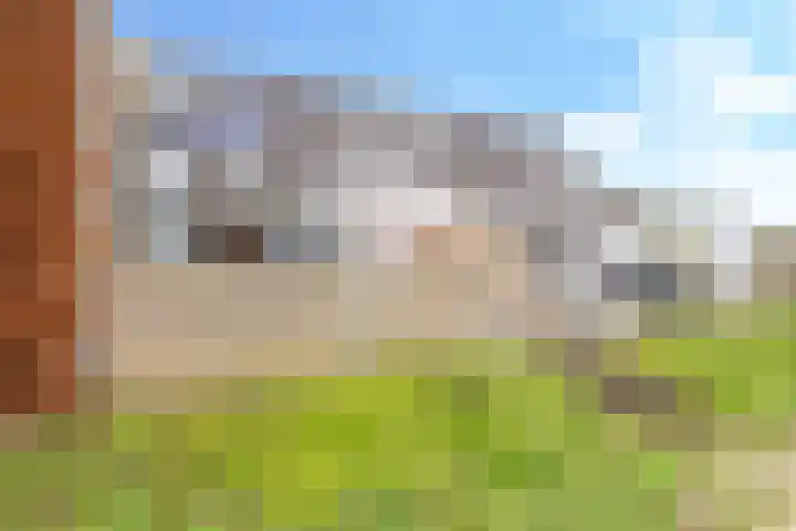 De Kleefse Kamp 62 Herveld thumbnail 65