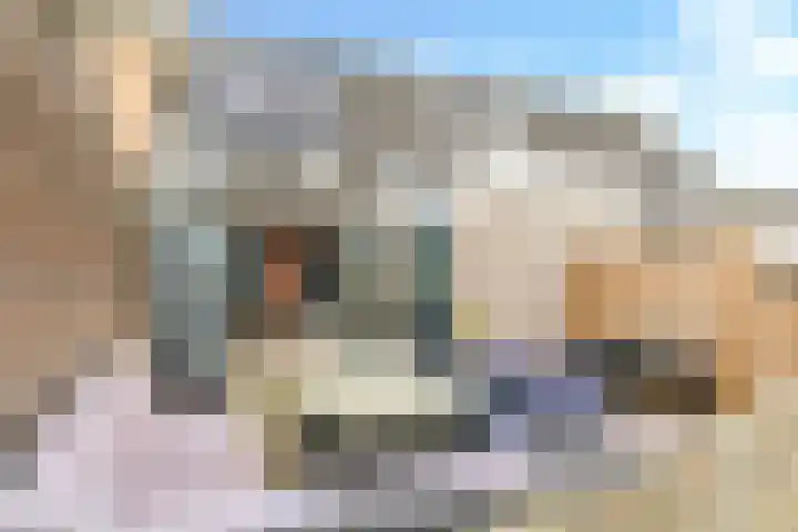 De Kleefse Kamp 62 Herveld thumbnail 67