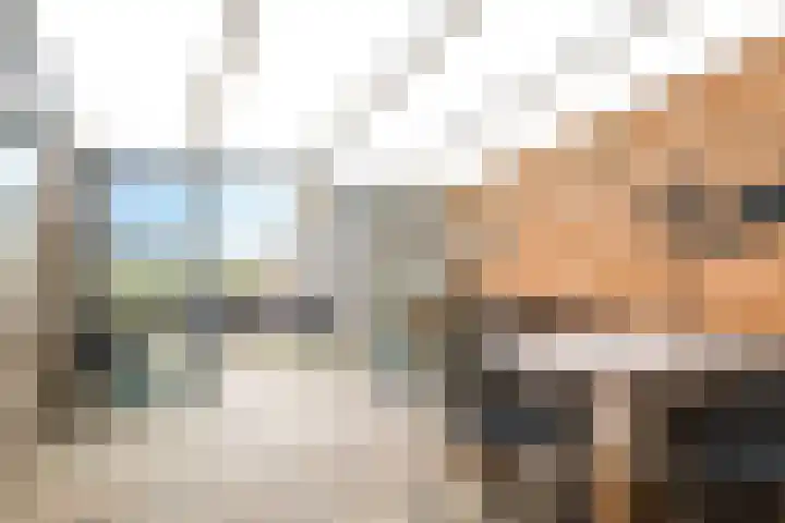 De Kleefse Kamp 62 Herveld thumbnail 7