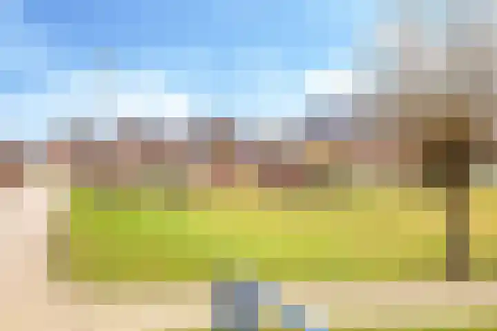De Kleefse Kamp 62 Herveld thumbnail 76