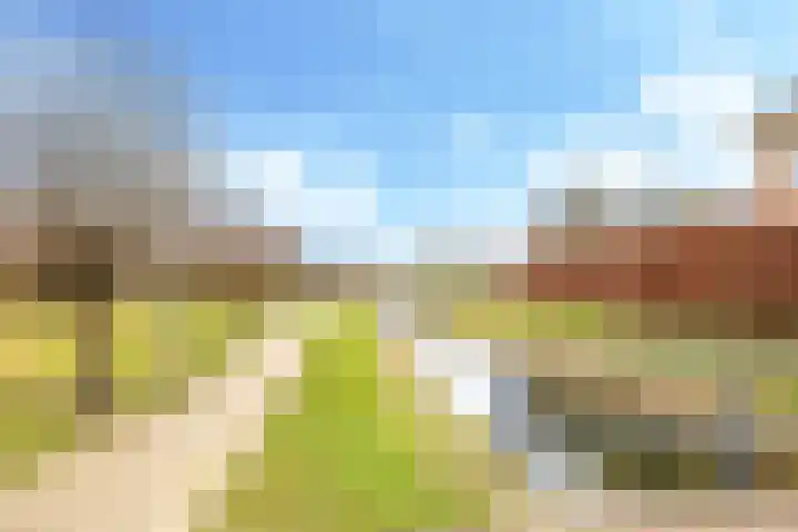 De Kleefse Kamp 62 Herveld thumbnail 77