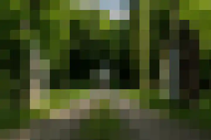 De Kleefse Kamp 62 Herveld thumbnail 84