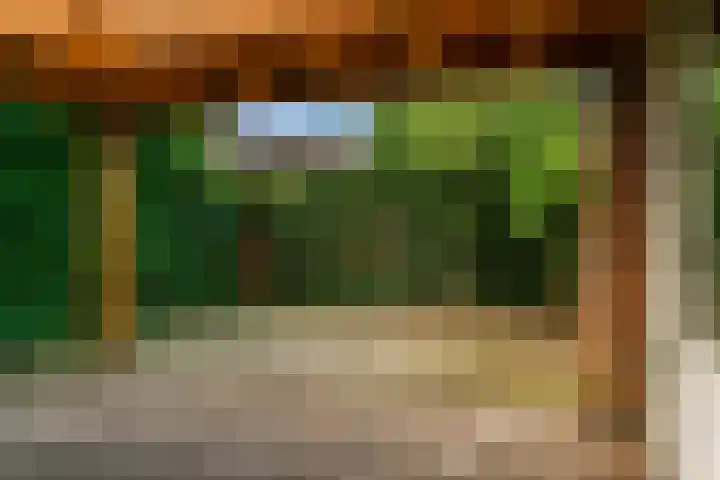 De Kleefse Kamp 98 Herveld thumbnail 19