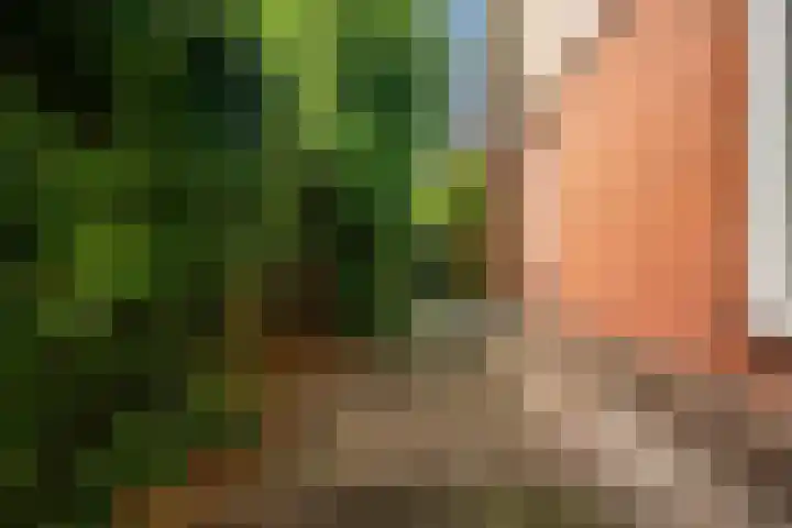 De Kleefse Kamp 98 Herveld thumbnail 21