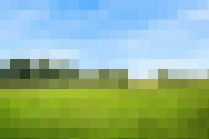 De Kleefse Kamp 98 Herveld thumbnail 29