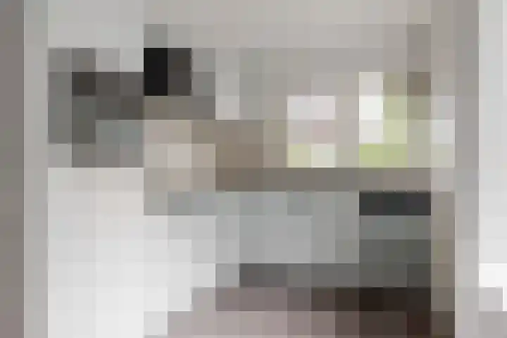 De Kleefse Kamp 98 Herveld thumbnail 4