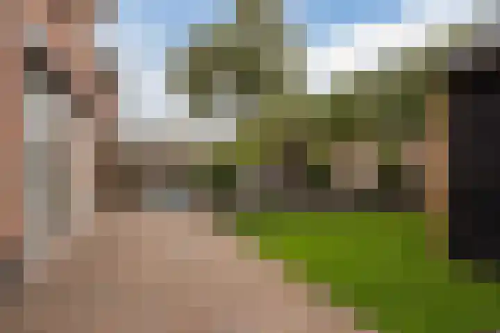 De Klef 10 Beers NB thumbnail 25