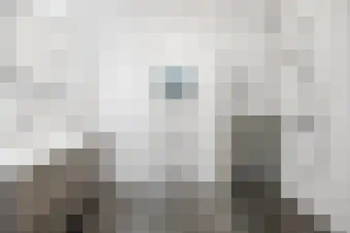 de Klef 10 Ewijk thumbnail 13