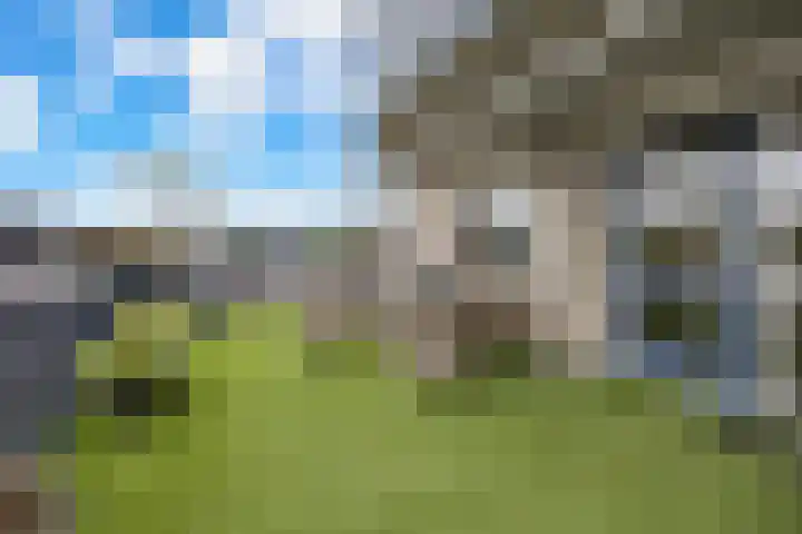 de Klef 10 Ewijk thumbnail 23