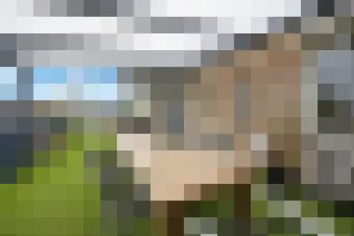 de Klef 10 Ewijk thumbnail 25
