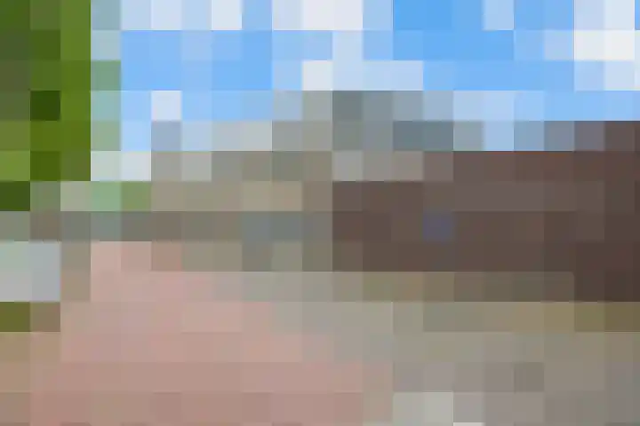 de Klef 10 Ewijk thumbnail 37