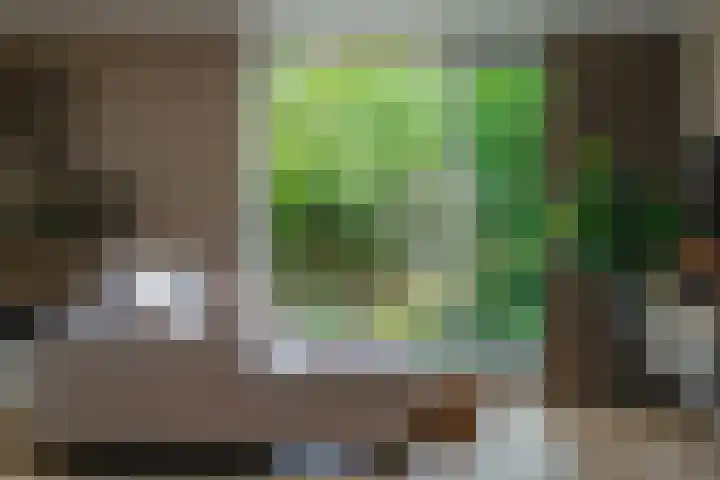 De Klef 3 Beers NB thumbnail 19
