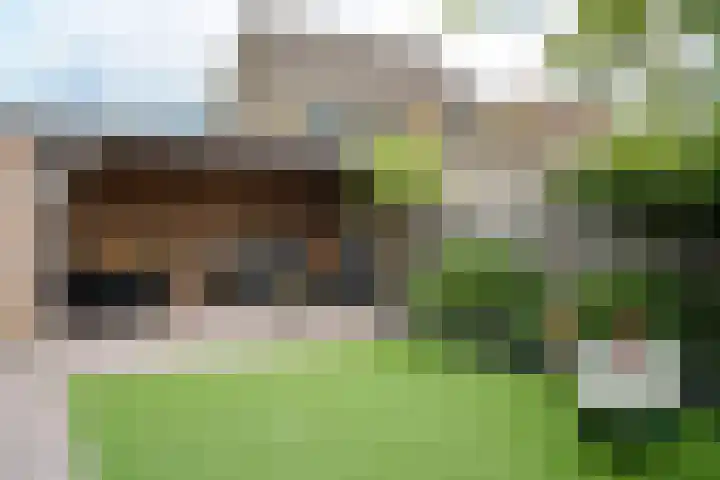 De Klef 3 Beers NB thumbnail 41