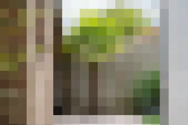 De Klef 3 Beers NB thumbnail 43