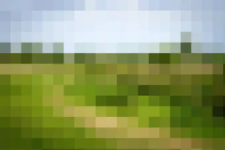 De Klef 3 Beers NB thumbnail 46