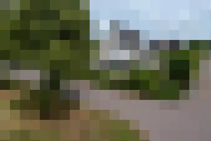 de Klencke 2 Norg