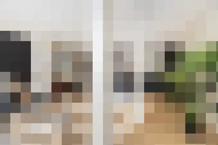 de Klencke 2 Norg thumbnail 13