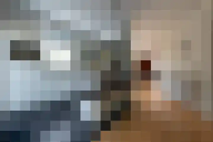 de Klencke 2 Norg thumbnail 14